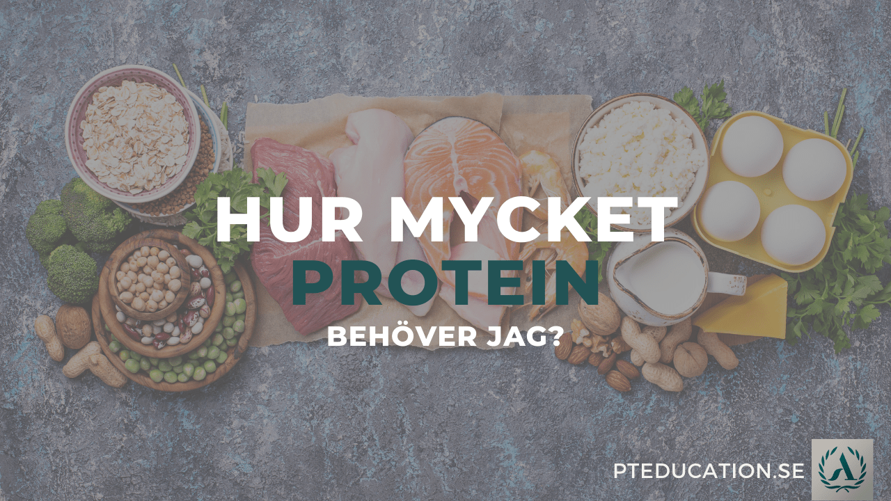 Hur mycket protein per dag ska du få i dig?